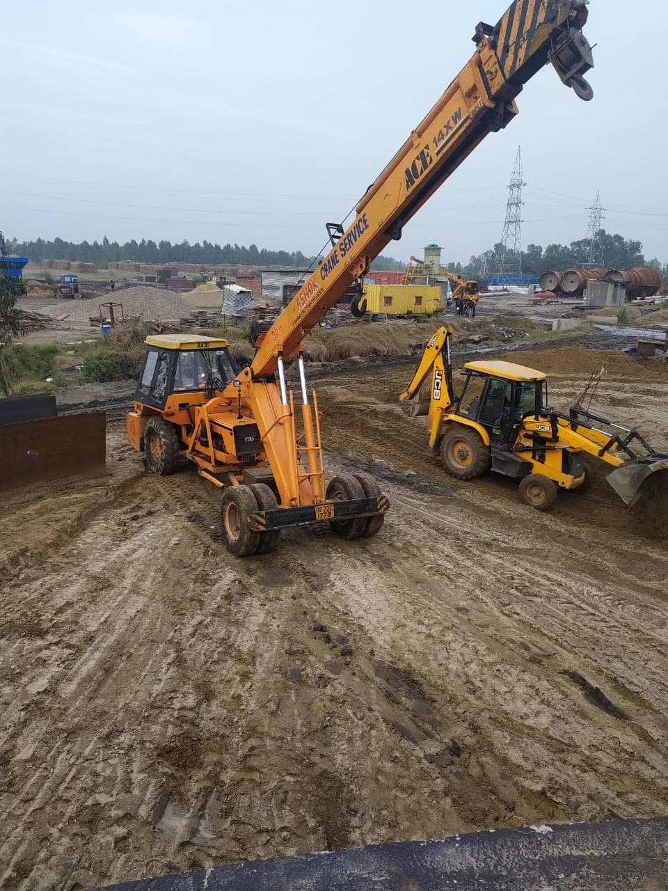 Cranes In Nangal